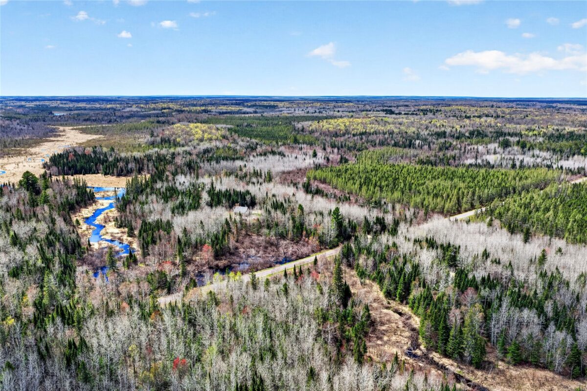8225 Blaisdell Lake Road, Winter WI 54896 - Land house for sale - MLS #1600828 - image8