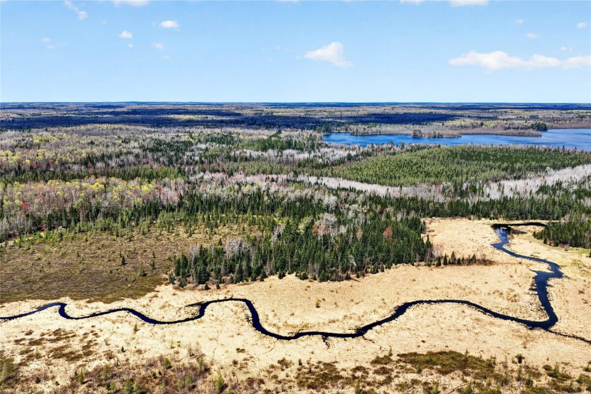 8225 Blaisdell Lake Road, Winter WI 54896 - Land house for sale - MLS #1600828 - image9