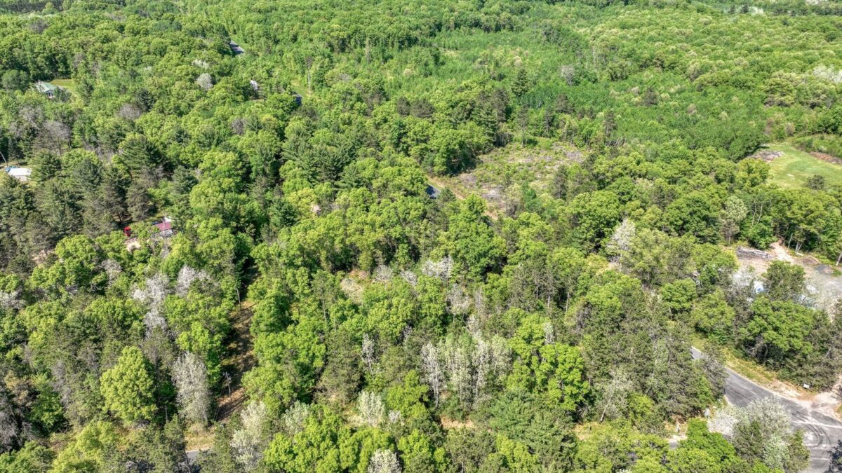 8667 Lakeside Road, Willard WI 54493 - Land house for sale - MLS #1601051 - image11