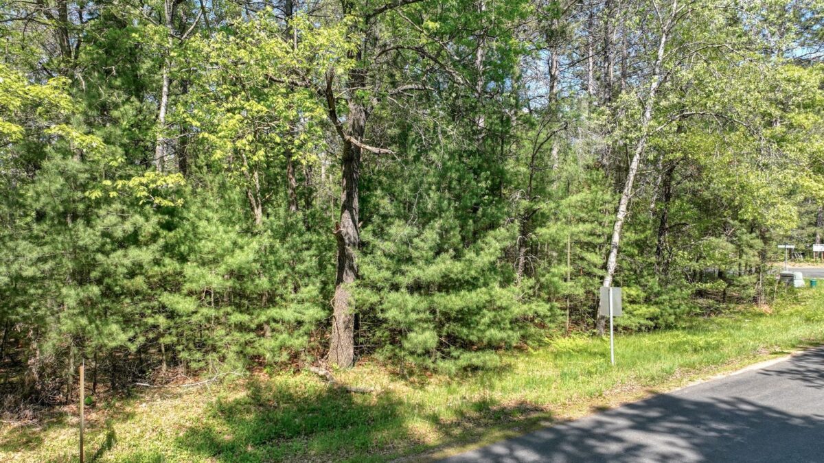 8667 Lakeside Road, Willard WI 54493 - Land house for sale - MLS #1601051 - image7