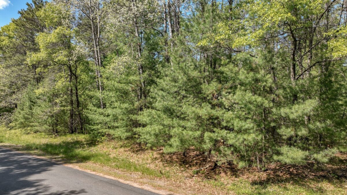 8667 Lakeside Road, Willard WI 54493 - Land house for sale - MLS #1601051 - image8