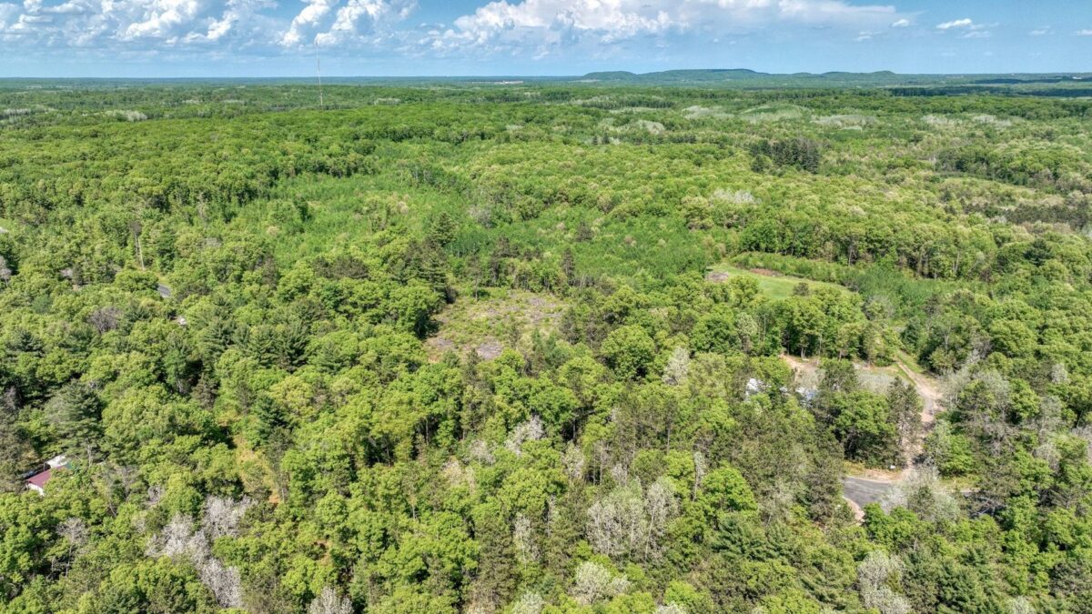 8667 Lakeside Road, Willard WI 54493 - Land house for sale - MLS #1601051 - image10
