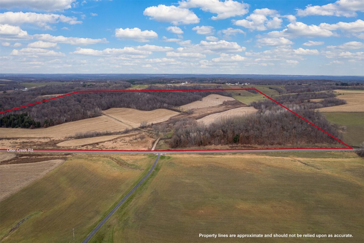 8700 Otter Creek Road, Fall Creek WI 54742 - Land house for sale - MLS #1602481 - image3