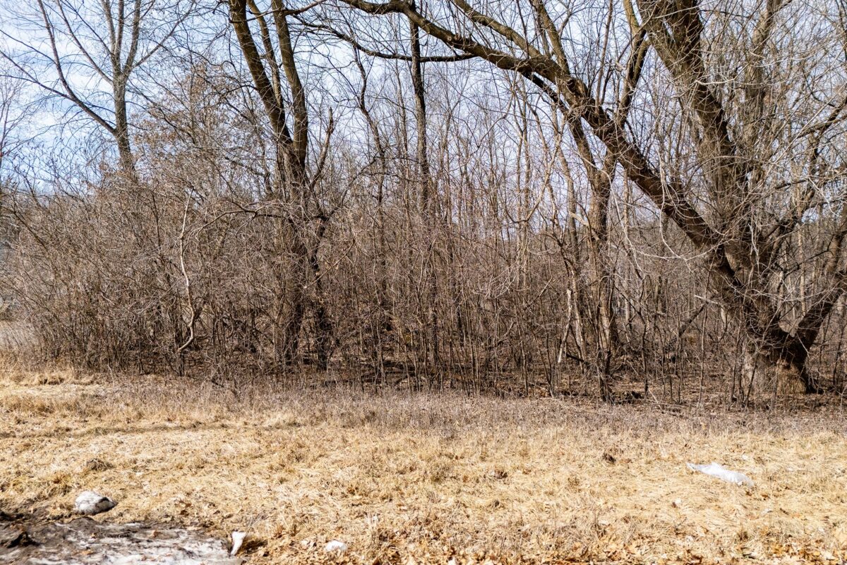 903 Wagner Road, Menomonie WI 54751 - Land house for sale - MLS #1599045 - image14