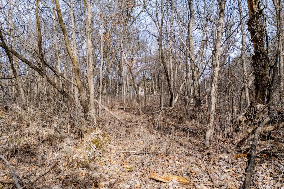 903 Wagner Road, Menomonie WI 54751 - Land house for sale - MLS #1599045 - image19