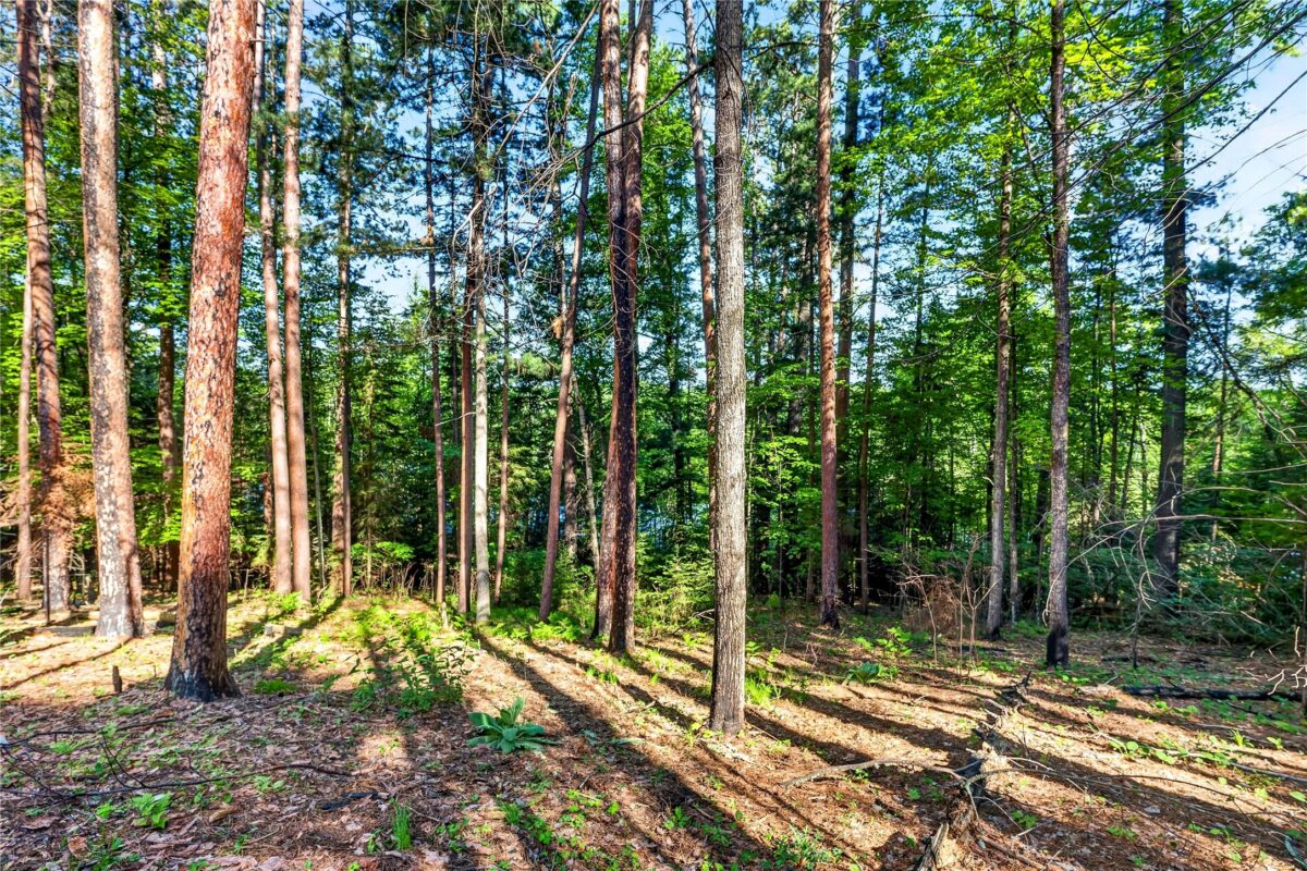 9735 Acorn Drive, Gordon WI 54838 - Land house for sale - MLS #1602162 - image2