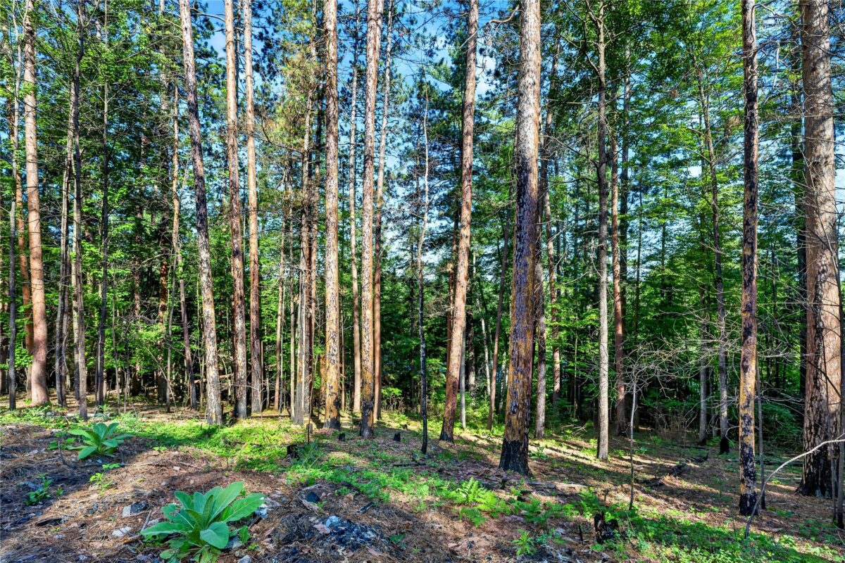 9735 Acorn Drive, Gordon WI 54838 - Land house for sale - MLS #1602162 - image18