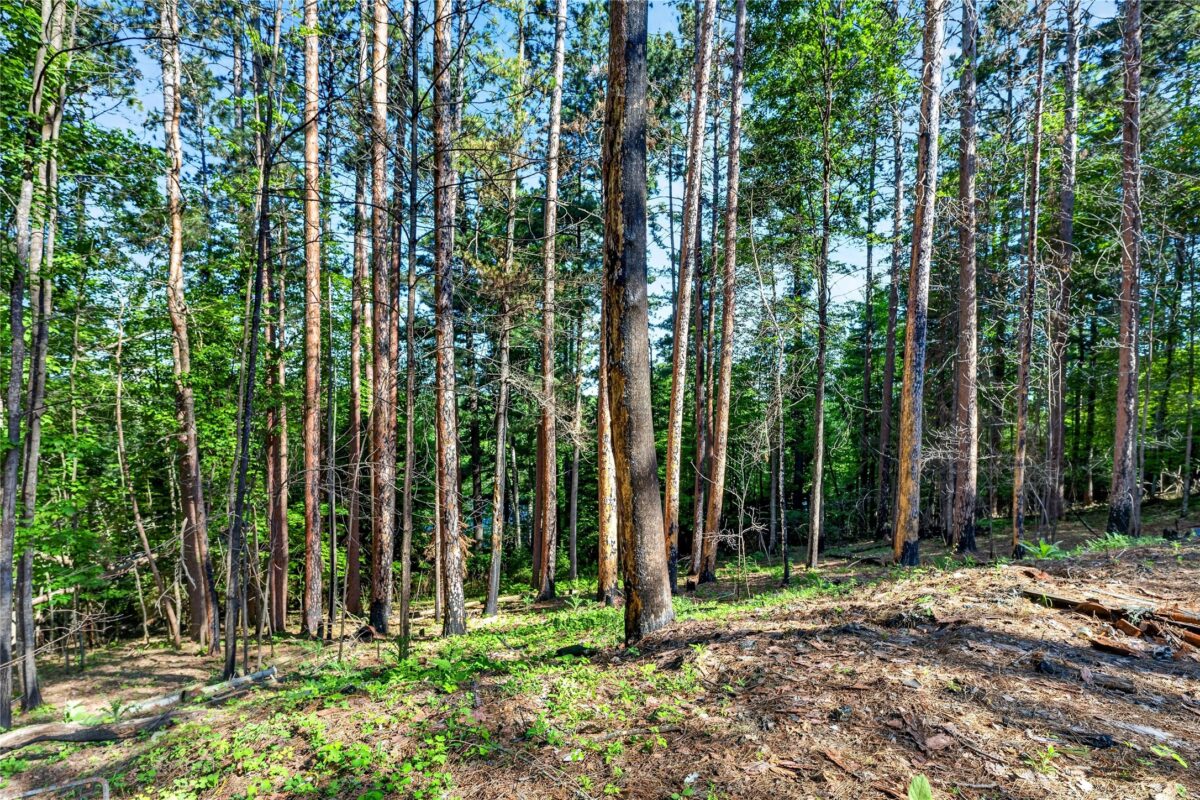 9735 Acorn Drive, Gordon WI 54838 - Land house for sale - MLS #1602162 - image19
