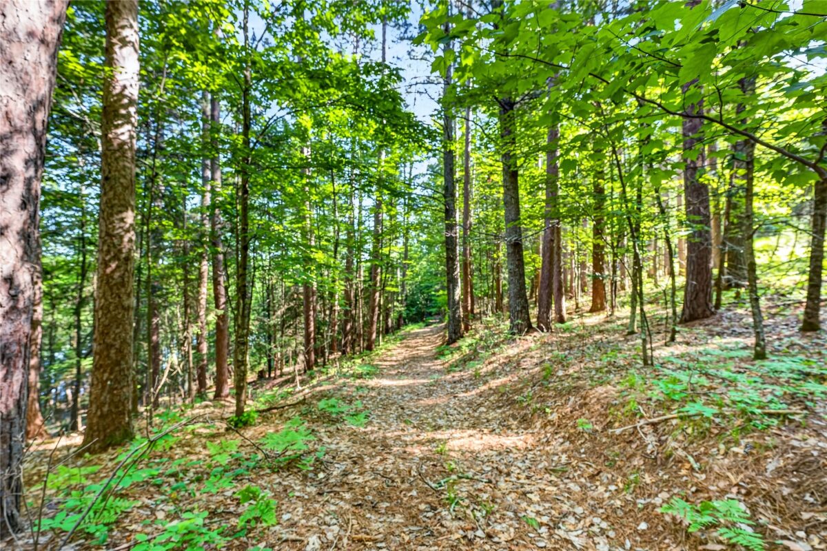 9735 Acorn Drive, Gordon WI 54838 - Land house for sale - MLS #1602162 - image21