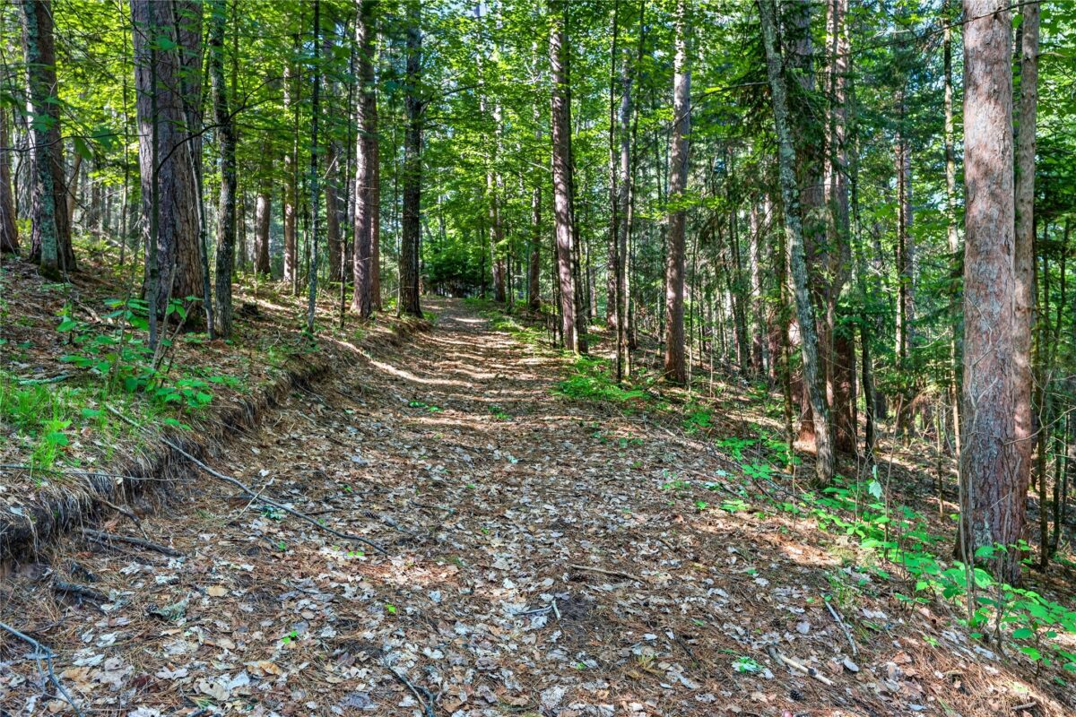 9735 Acorn Drive, Gordon WI 54838 - Land house for sale - MLS #1602162 - image22