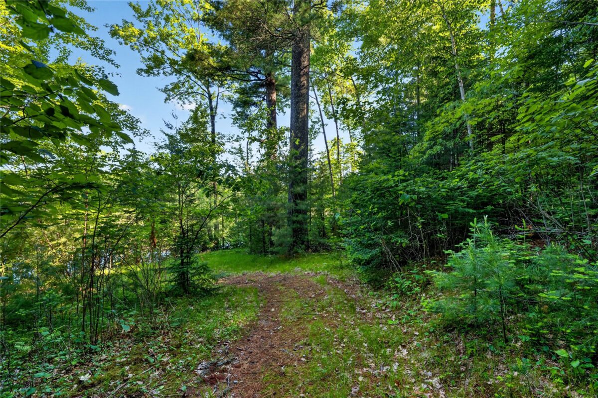 9735 Acorn Drive, Gordon WI 54838 - Land house for sale - MLS #1602162 - image23
