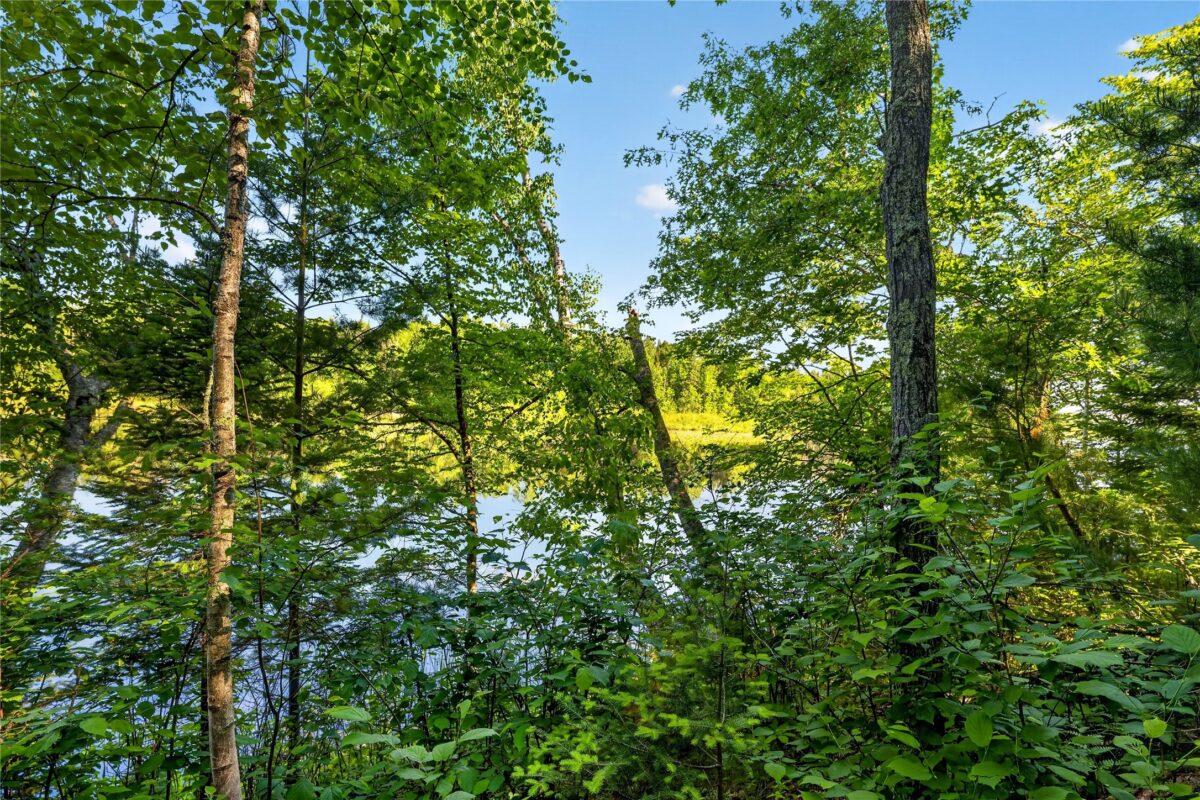 9735 Acorn Drive, Gordon WI 54838 - Land house for sale - MLS #1602162 - image26