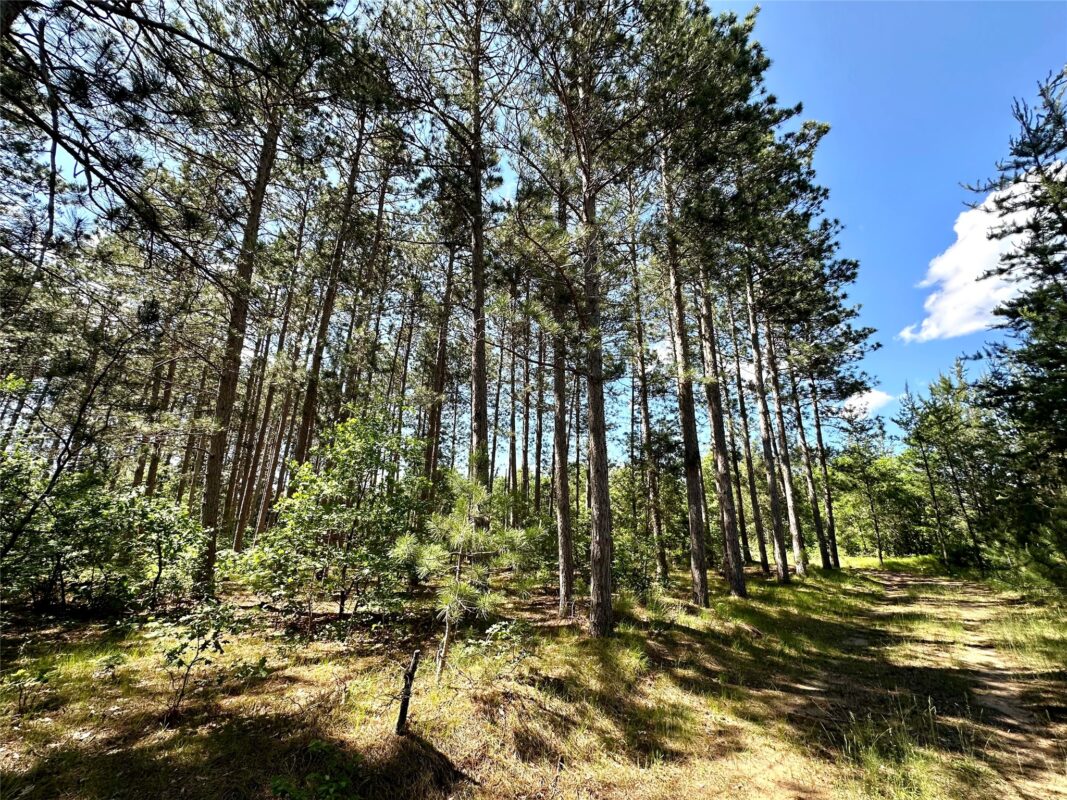 E20244 Cty Rd GG, Augusta WI 54722 - Land house for sale - MLS #1602250 - image12