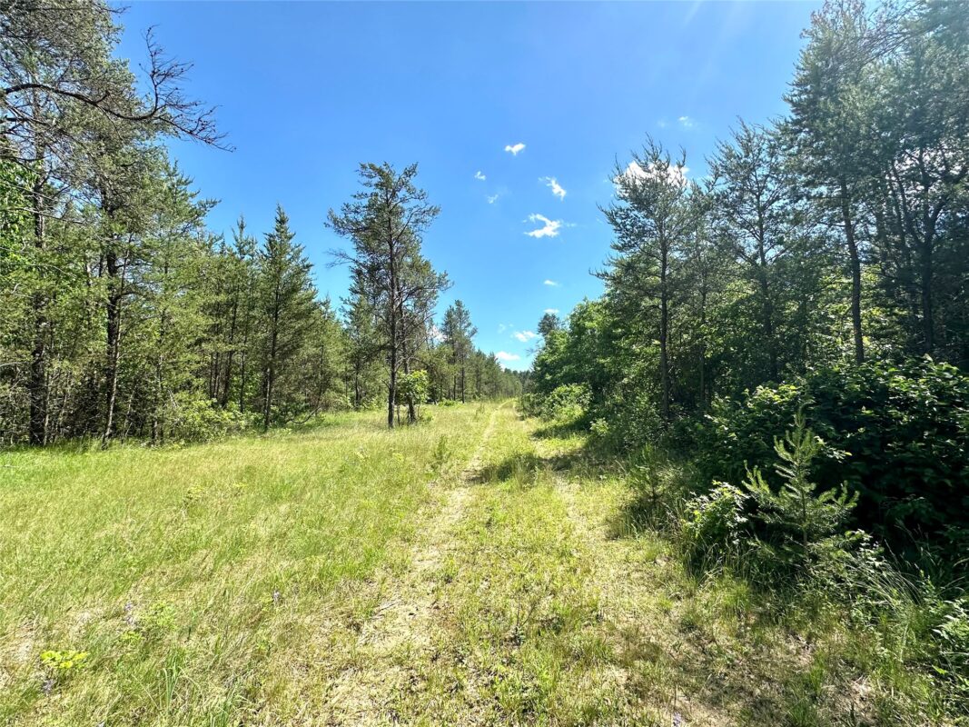 E20244 Cty Rd GG, Augusta WI 54722 - Land house for sale - MLS #1602250 - image13