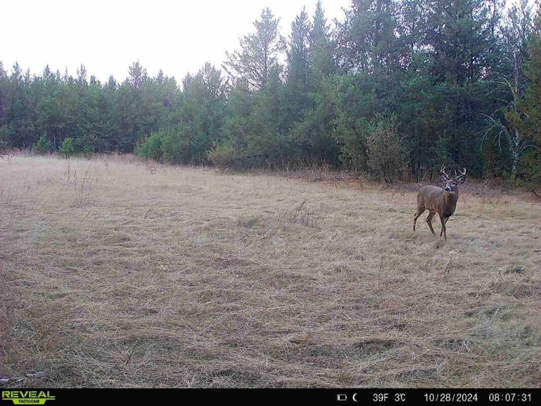 E20244 Cty Rd GG, Augusta WI 54722 - Land house for sale - MLS #1602250 - image14