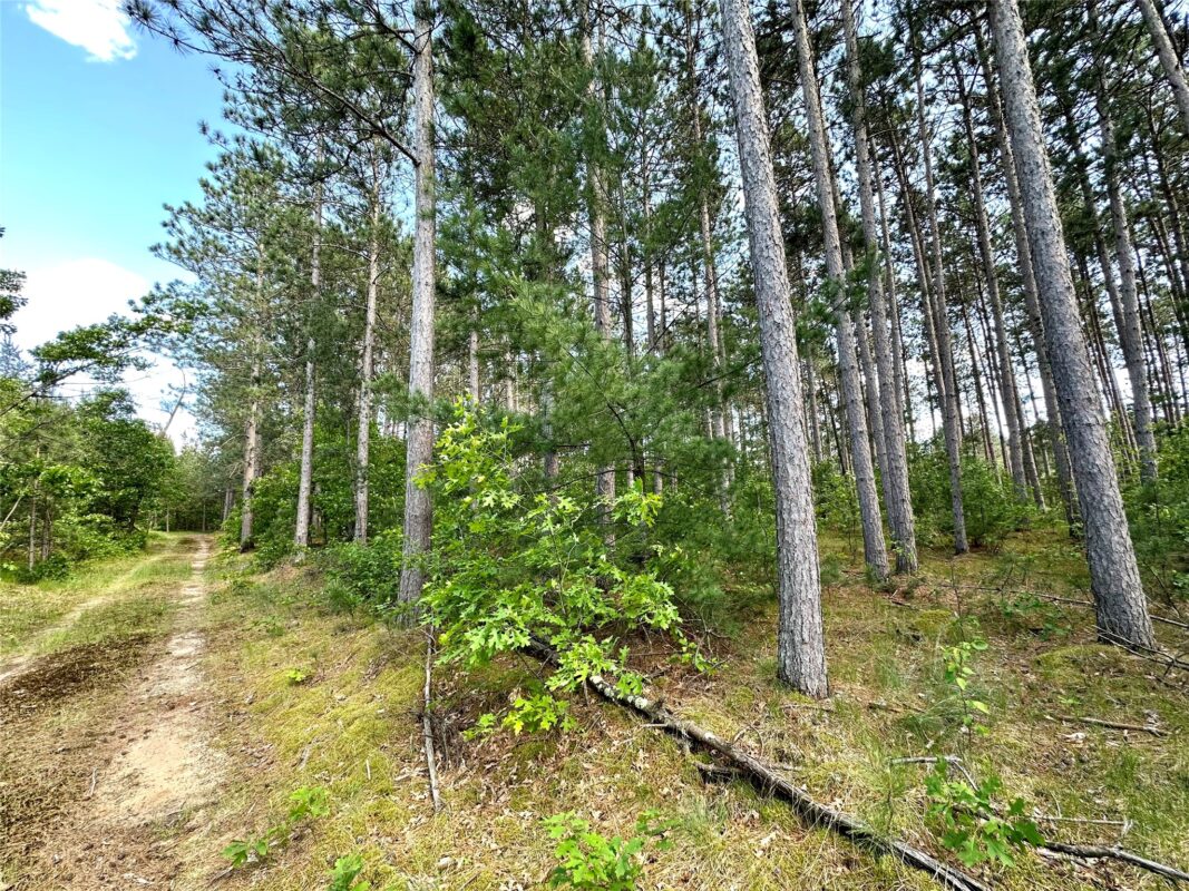 E20244 Cty Rd GG, Augusta WI 54722 - Land house for sale - MLS #1602250 - image15