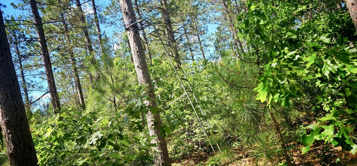 E20244 Cty Rd GG, Augusta WI 54722 - Land house for sale - MLS #1602250 - image17