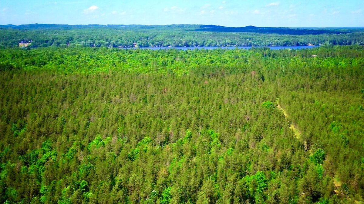 E20244 Cty Rd GG, Augusta WI 54722 - Land house for sale - MLS #1602250 - image3