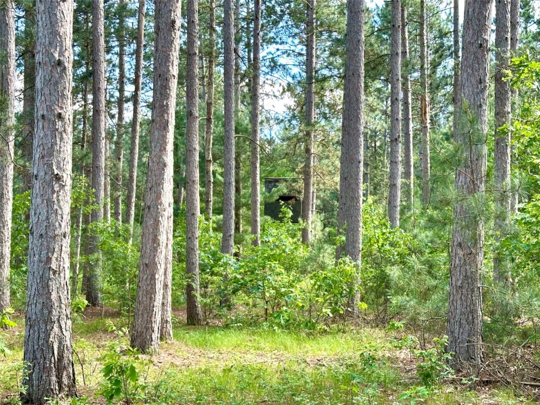 E20244 Cty Rd GG, Augusta WI 54722 - Land house for sale - MLS #1602250 - image21