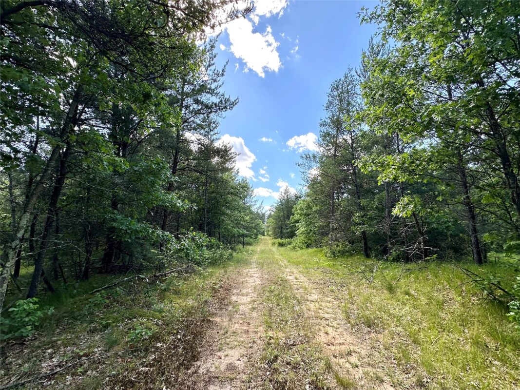 E20244 Cty Rd GG, Augusta WI 54722 - Land house for sale - MLS #1602250 - image22