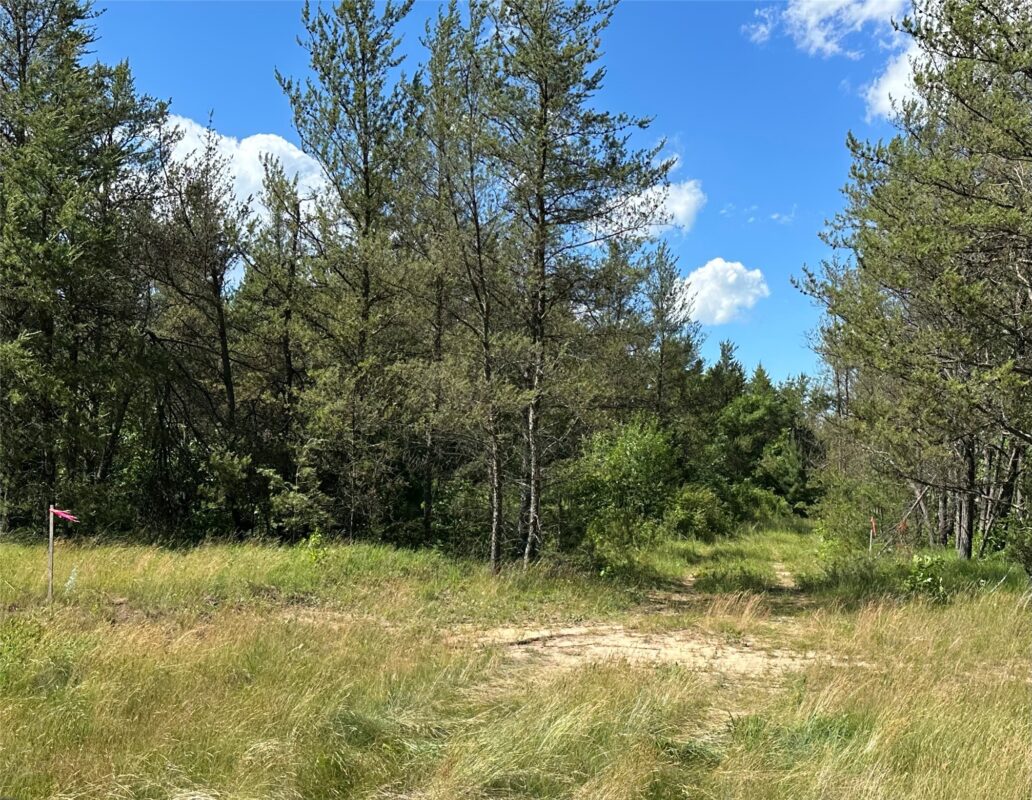 E20244 Cty Rd GG, Augusta WI 54722 - Land house for sale - MLS #1602250 - image24