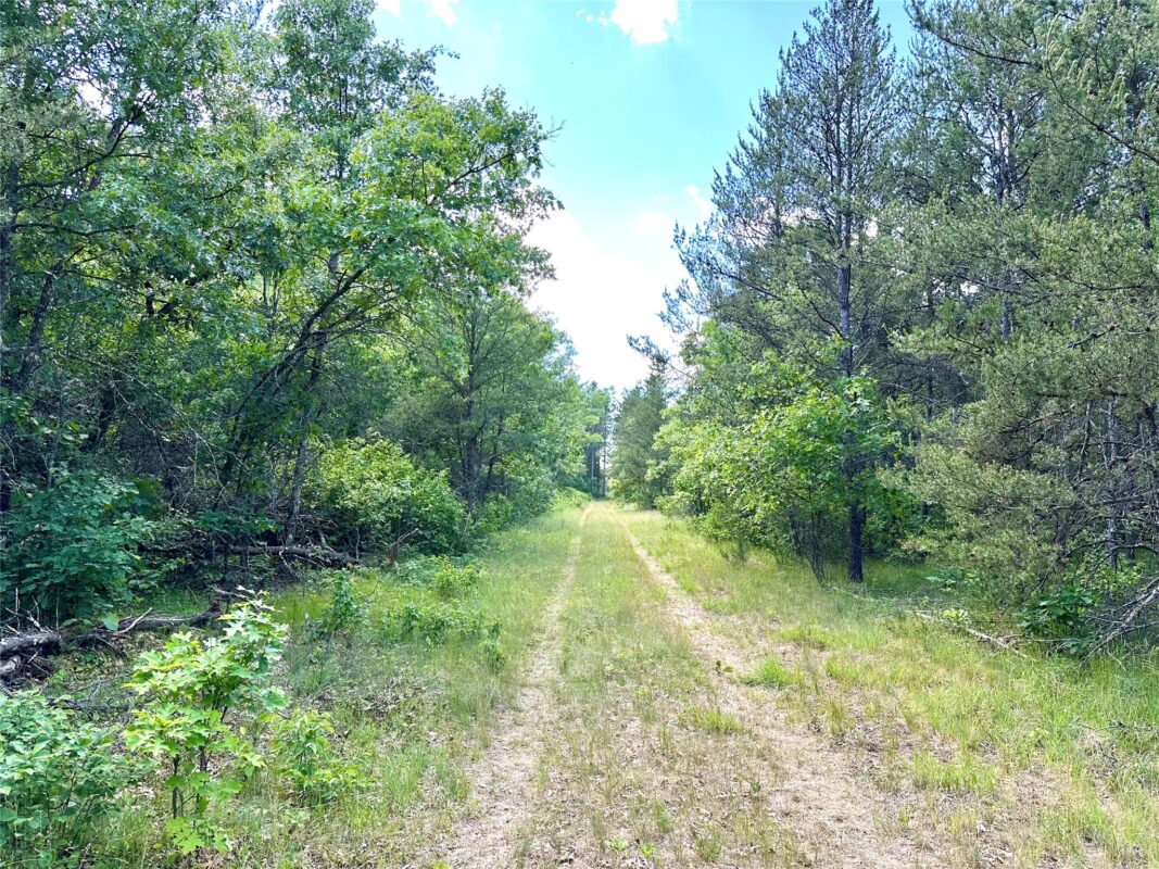 E20244 Cty Rd GG, Augusta WI 54722 - Land house for sale - MLS #1602250 - image6