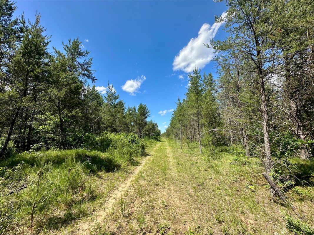 E20244 Cty Rd GG, Augusta WI 54722 - Land house for sale - MLS #1602250 - image8