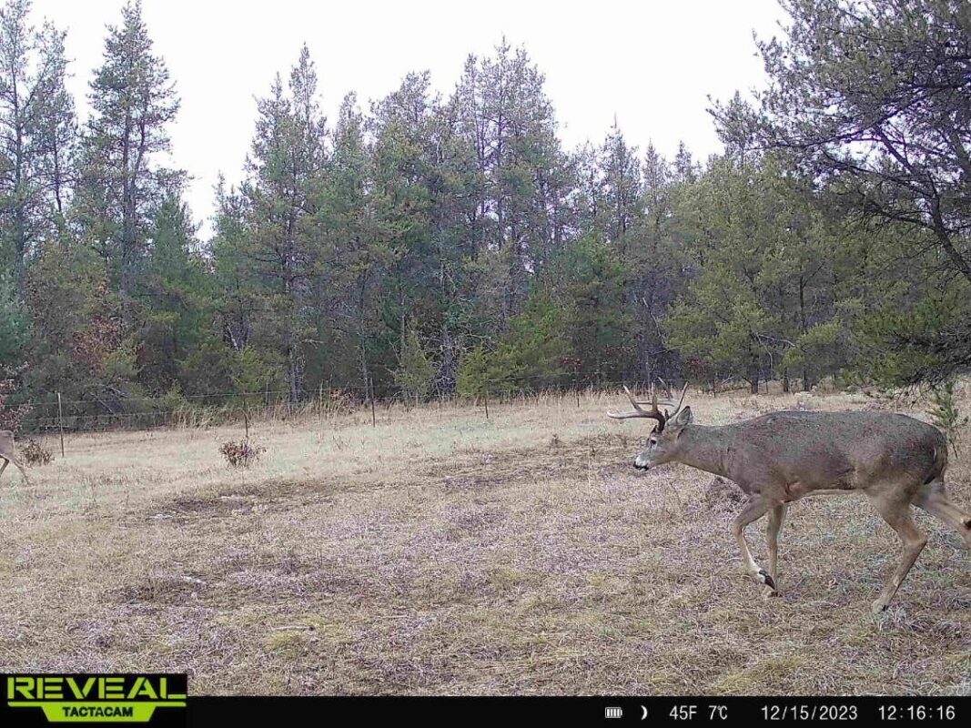 E20244 Cty Rd GG, Augusta WI 54722 - Land house for sale - MLS #1602250 - image9