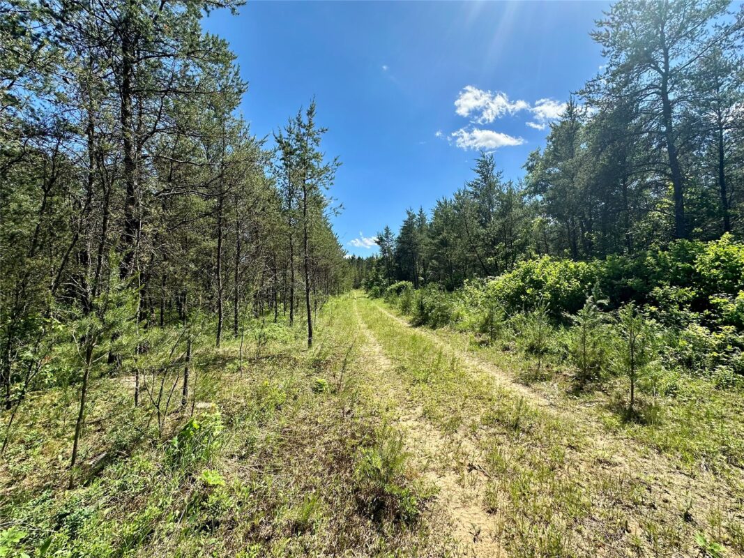 E20244 Cty Rd GG, Augusta WI 54722 - Land house for sale - MLS #1602250 - image10