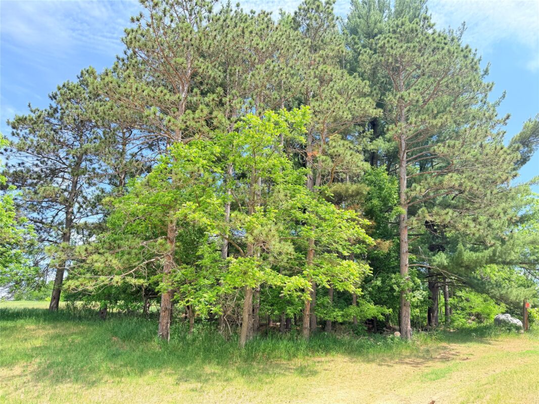 E3495 1210th Avenue, Boyceville WI 54725 - Residential house for sale - MLS #1601889 - image13