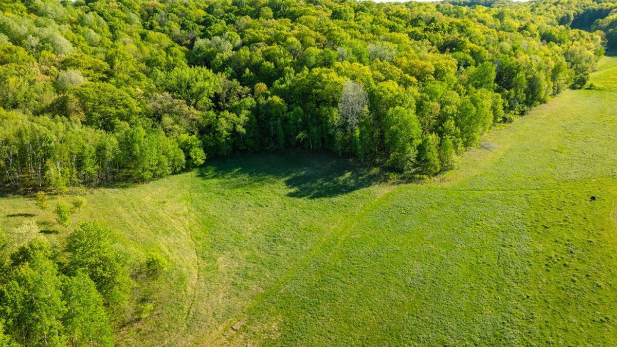 E3555 1120th Avenue, Boyceville WI 54725 - Land house for sale - MLS #1601582 - image14