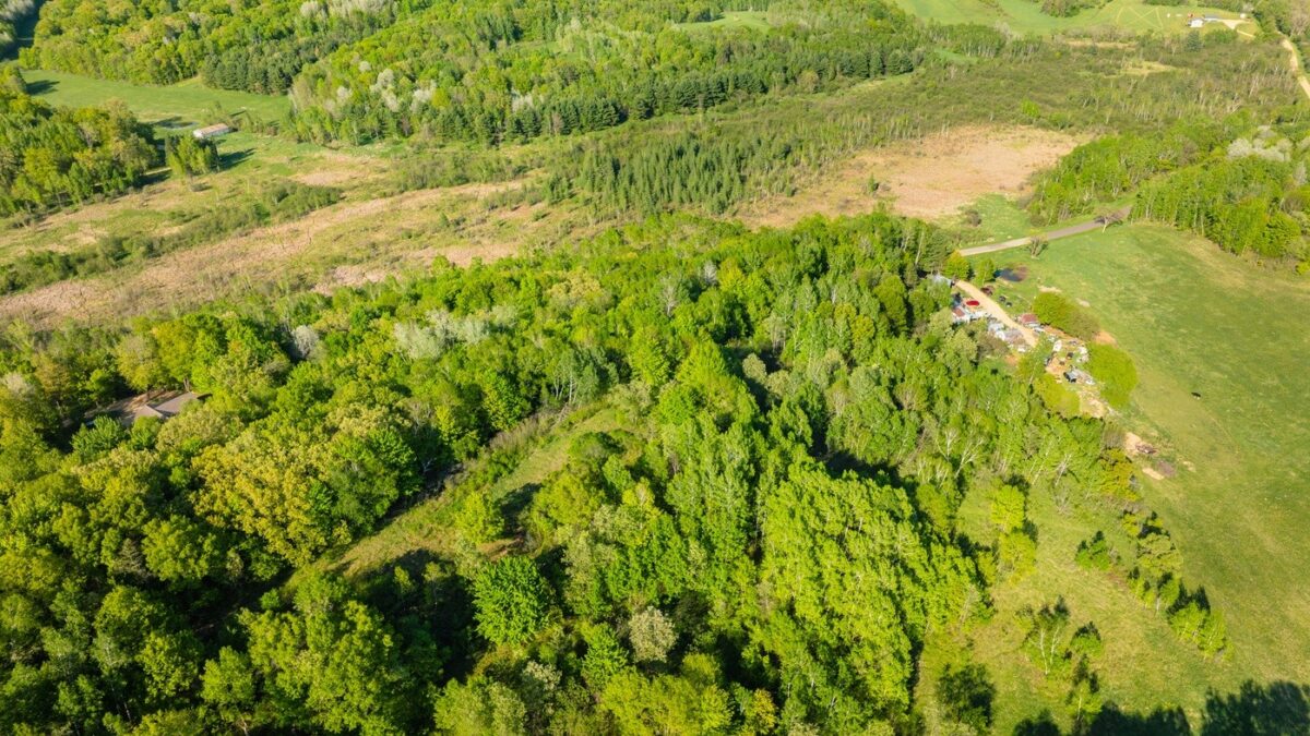 E3555 1120th Avenue, Boyceville WI 54725 - Land house for sale - MLS #1601582 - image17