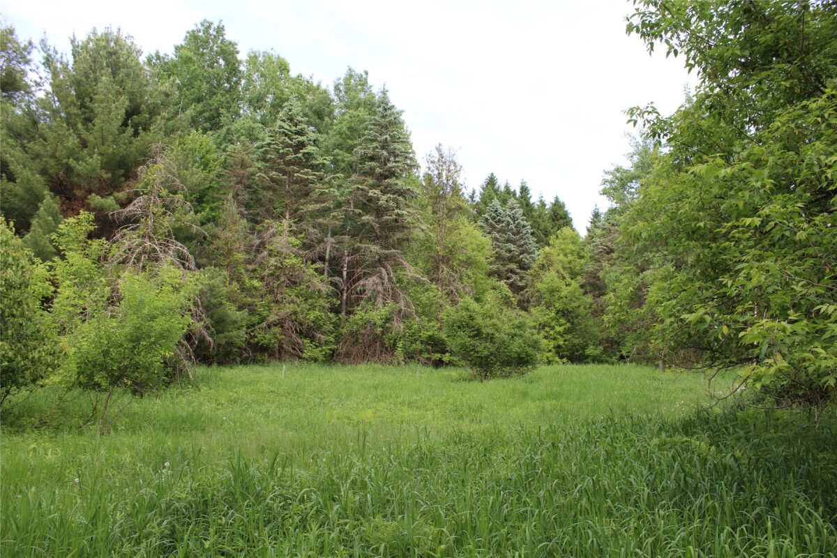 , Humbird WI 54746 - Residential house for sale - MLS #1602650 - image13