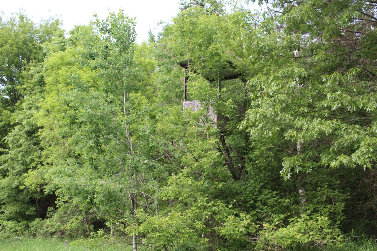 , Humbird WI 54746 - Residential house for sale - MLS #1602650 - image16