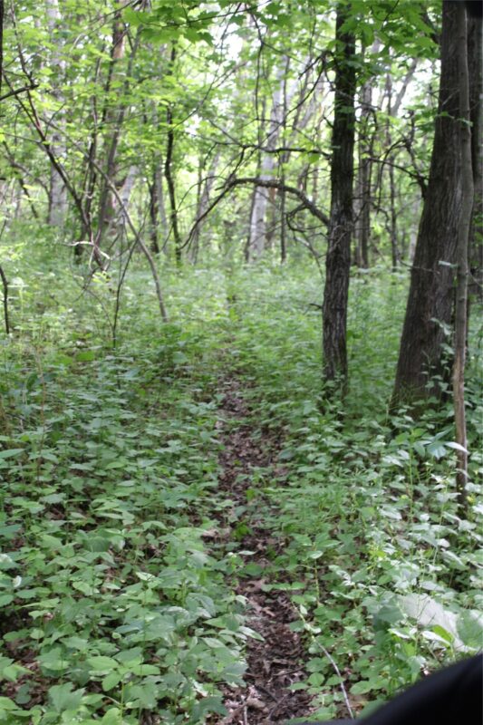 , Humbird WI 54746 - Residential house for sale - MLS #1602650 - image9
