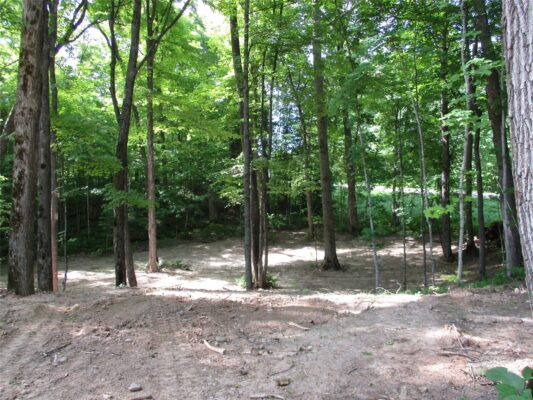 LOT #58 STEWART /28 TH Street Birchwood WI 54817