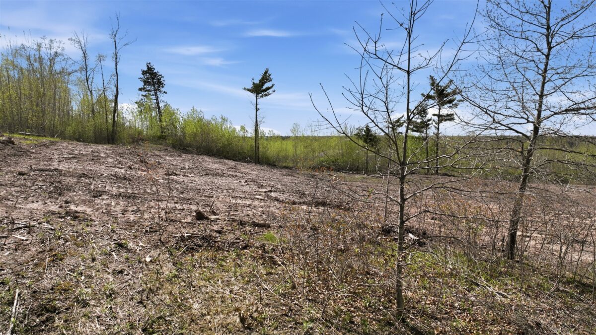 Lot 1 11th Avenue, Cameron WI 54822 - Land house for sale - MLS #1596796 - image15