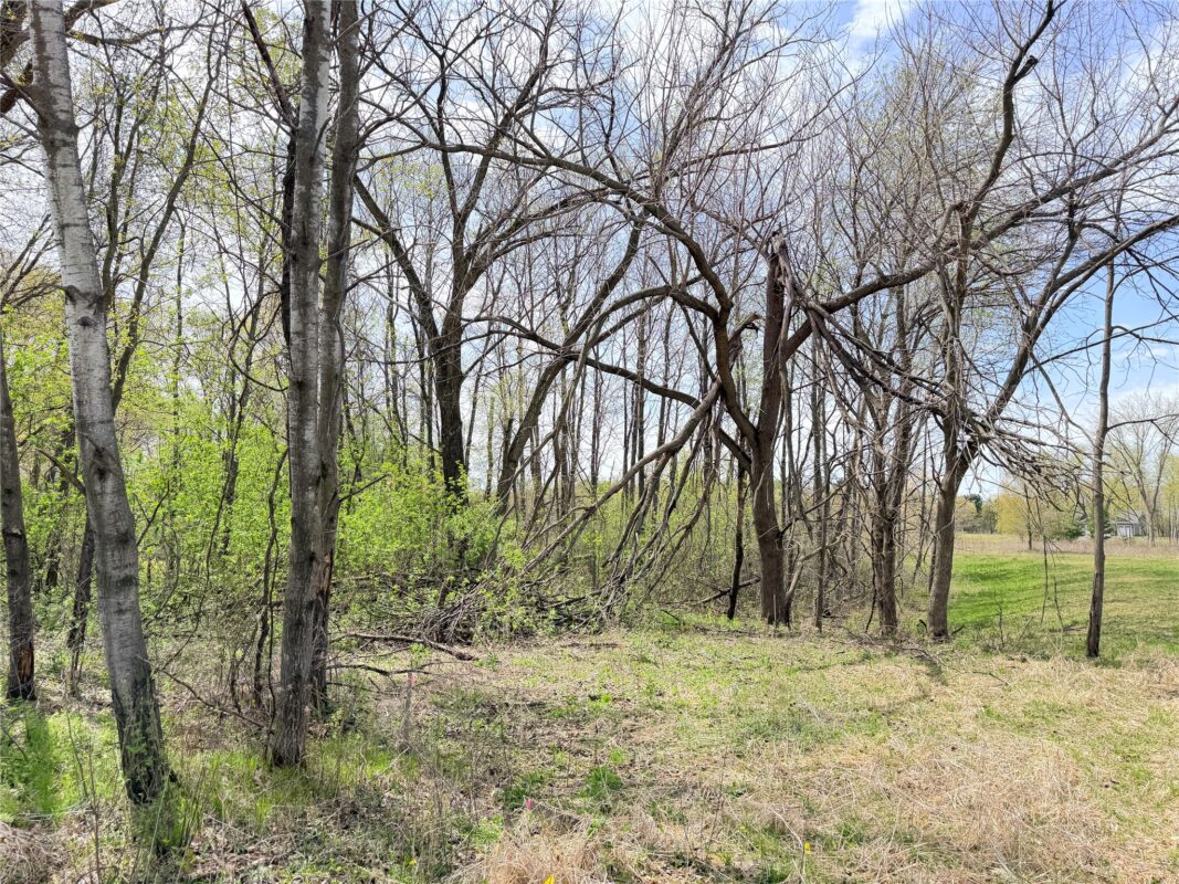 Lot 11 27th Court, Chippewa Falls WI 54729 - Land house for sale - MLS #1593541 - image13