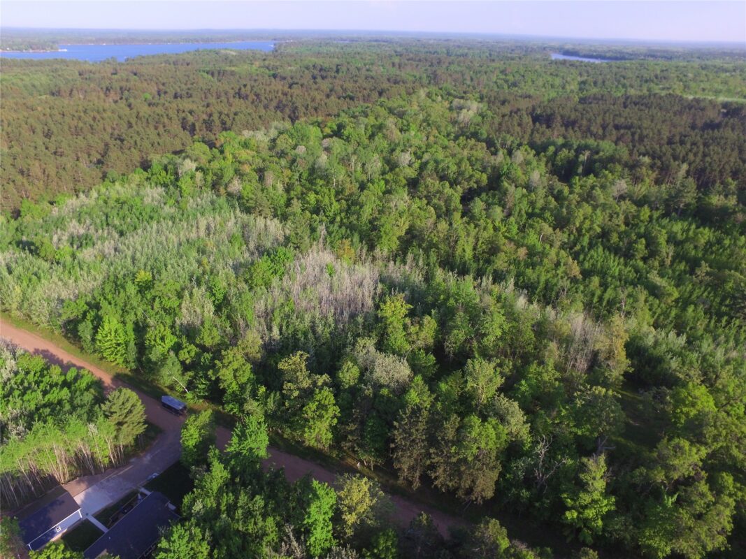 Lot 19 Aspen Hill Trailway, Webster WI 54893 - Land house for sale - MLS #1601819 - image2