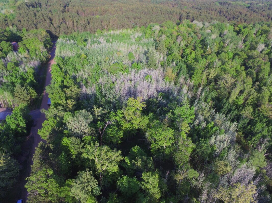 Lot 19 Aspen Hill Trailway, Webster WI 54893 - Land house for sale - MLS #1601819 - image11