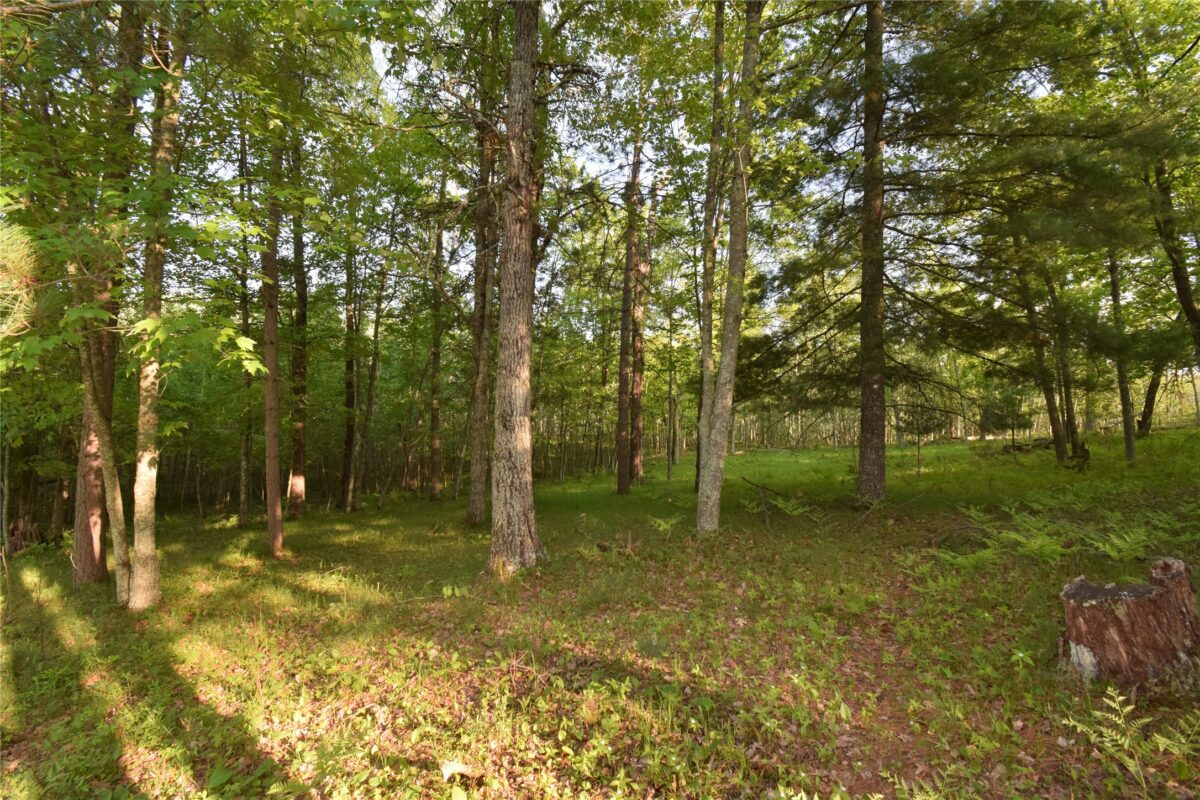 Lot 19 Aspen Hill Trailway, Webster WI 54893 - Land house for sale - MLS #1601819 - image13