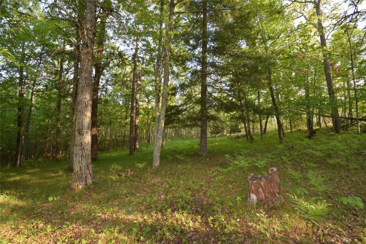Lot 19 Aspen Hill Trailway, Webster WI 54893 - Land house for sale - MLS #1601819 - image14