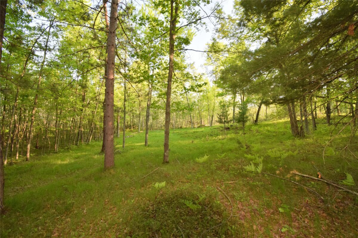 Lot 19 Aspen Hill Trailway, Webster WI 54893 - Land house for sale - MLS #1601819 - image15