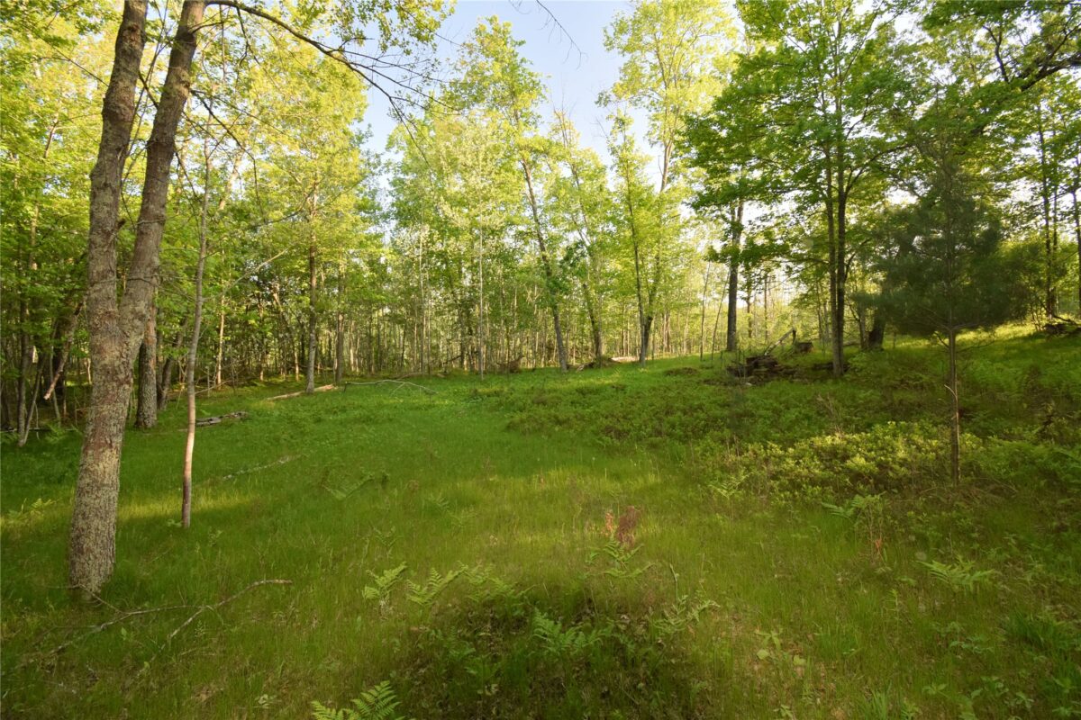 Lot 19 Aspen Hill Trailway, Webster WI 54893 - Land house for sale - MLS #1601819 - image16