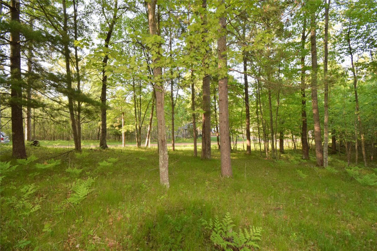 Lot 19 Aspen Hill Trailway, Webster WI 54893 - Land house for sale - MLS #1601819 - image17