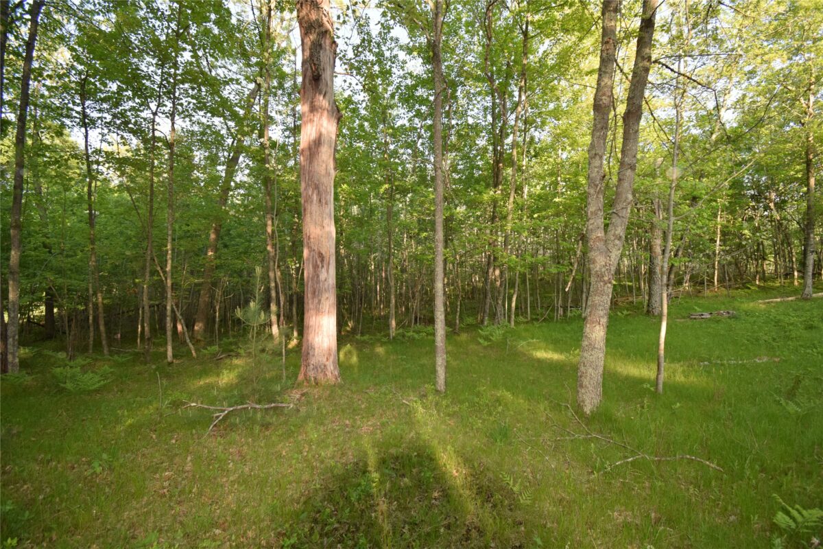 Lot 19 Aspen Hill Trailway, Webster WI 54893 - Land house for sale - MLS #1601819 - image18