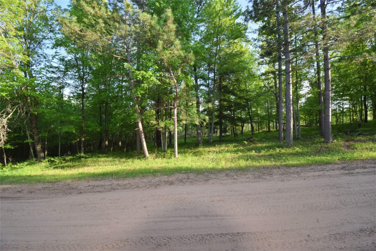 Lot 19 Aspen Hill Trailway, Webster WI 54893 - Land house for sale - MLS #1601819 - image19