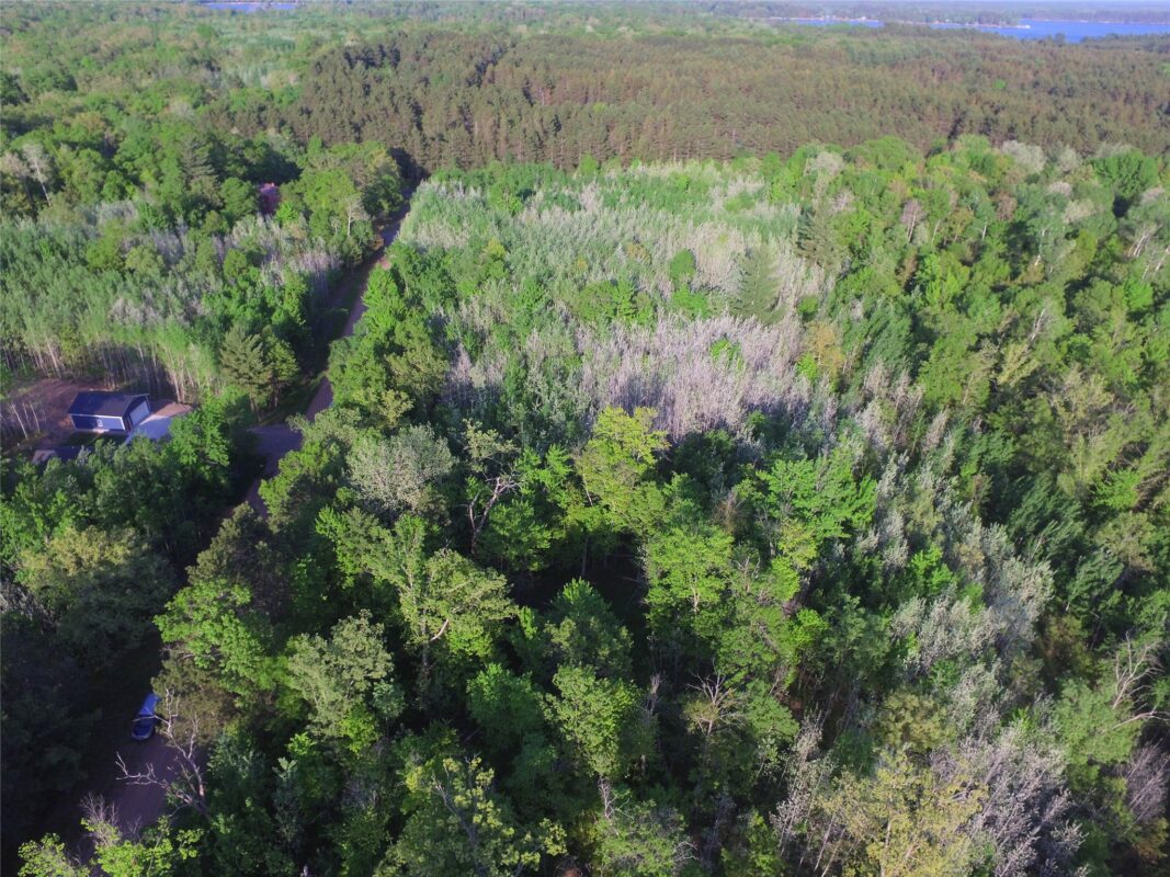 Lot 19 Aspen Hill Trailway, Webster WI 54893 - Land house for sale - MLS #1601819 - image10