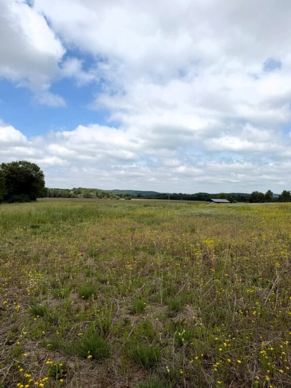 Lot 2 County Rd F, Boyceville WI 54725 - Land house for sale - MLS #1601758 - image12