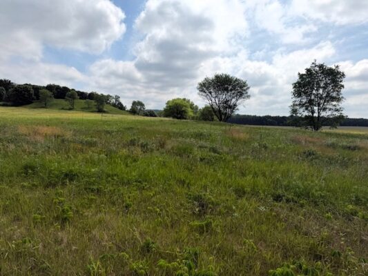 Lot 2 County Rd F  Boyceville WI 54725